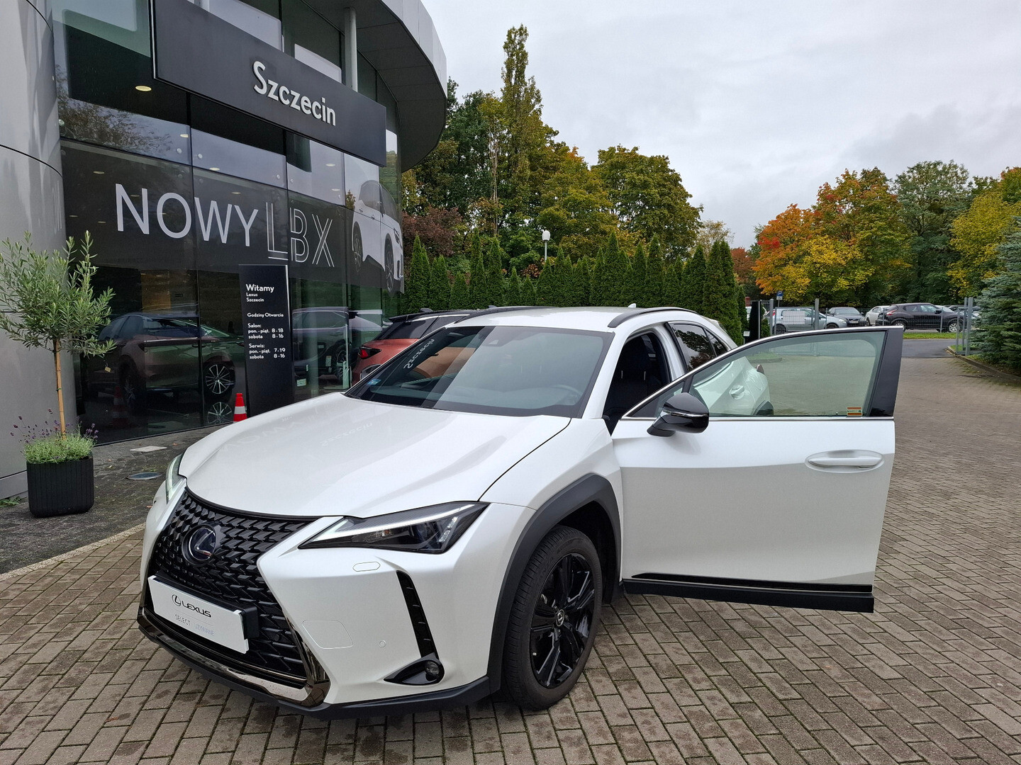 Lexus UX
