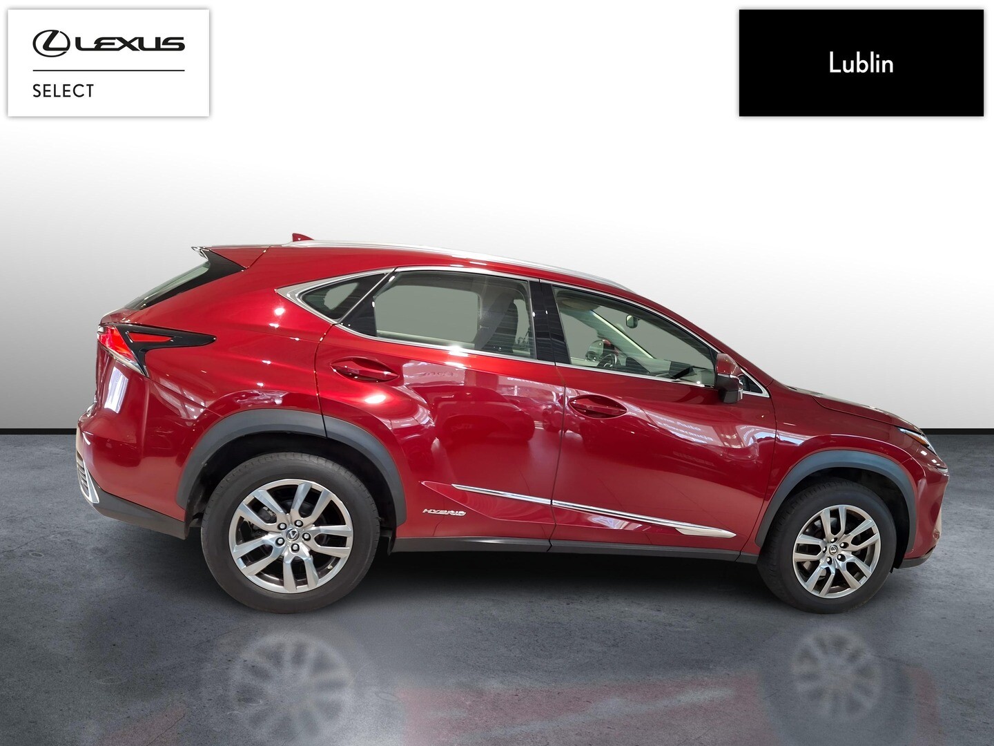 Lexus NX