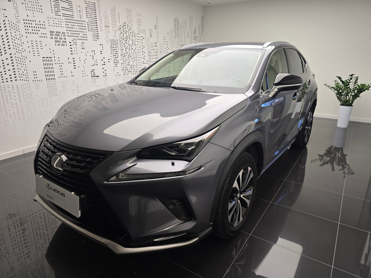 Lexus NX