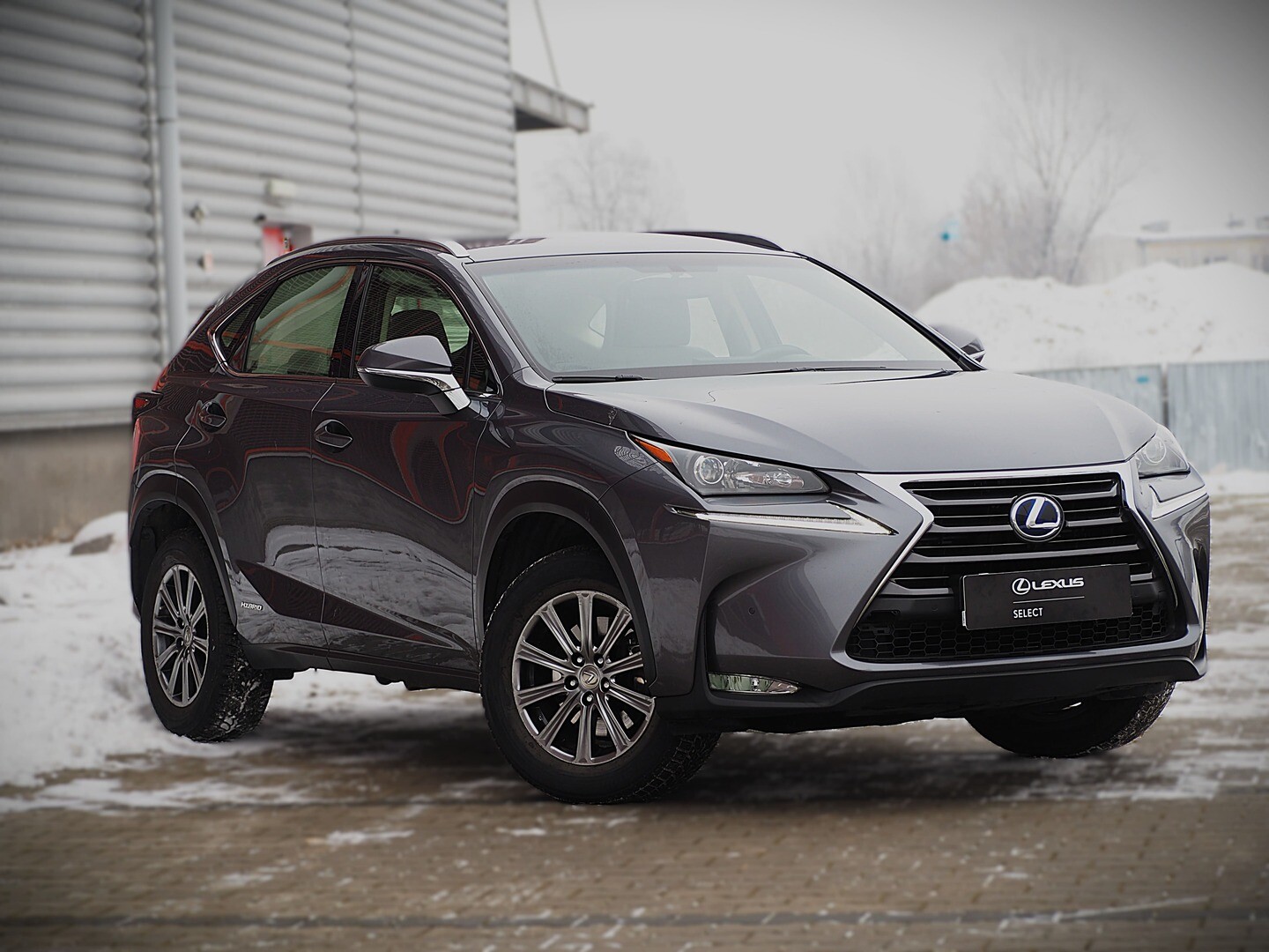 Lexus NX