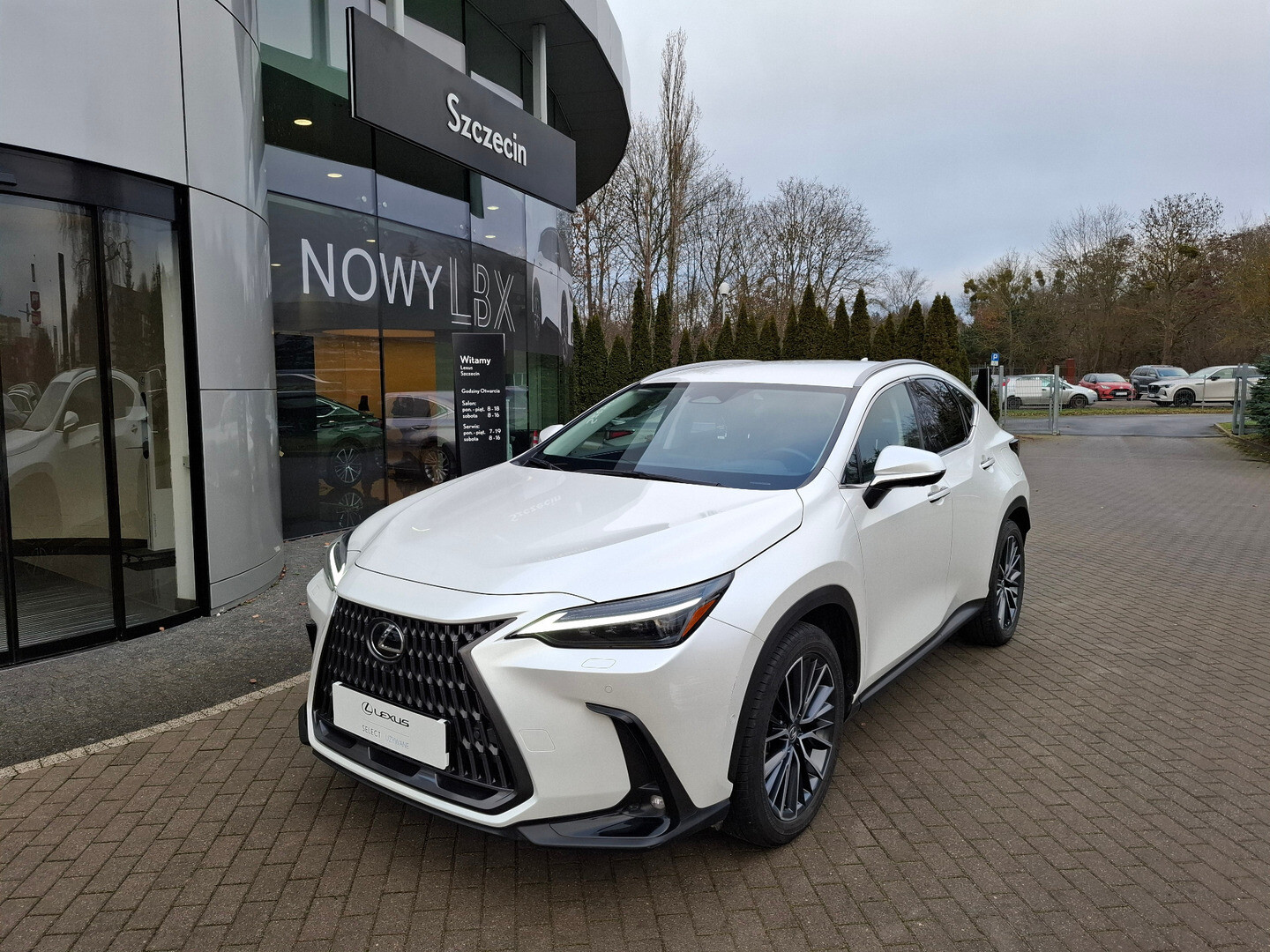 Lexus NX