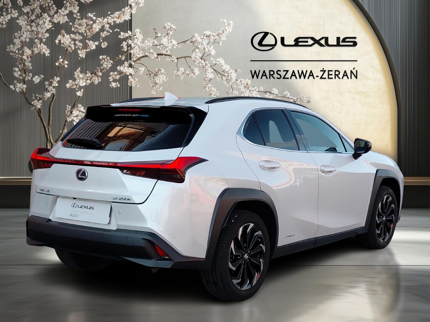 Lexus UX