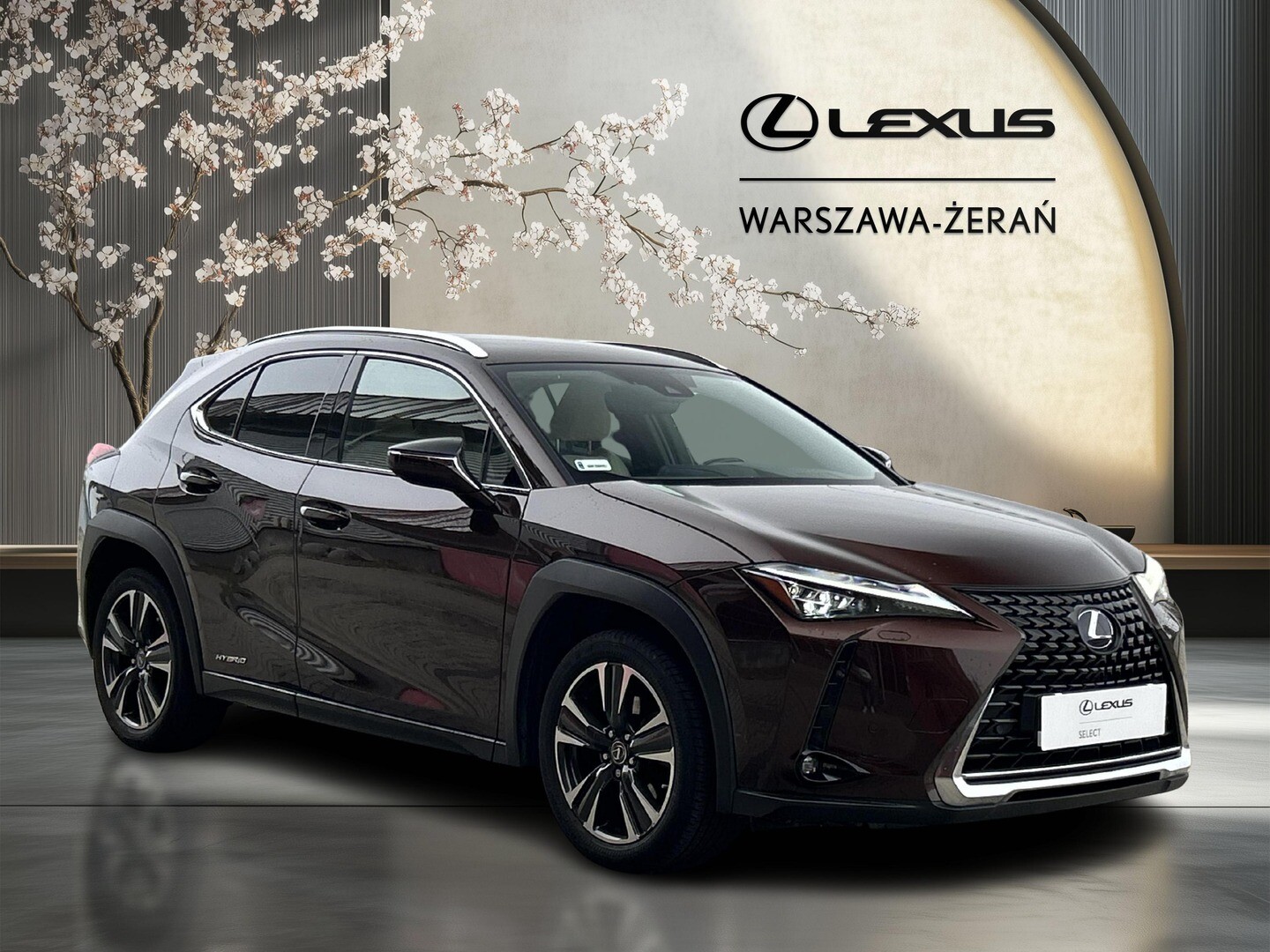 Lexus UX