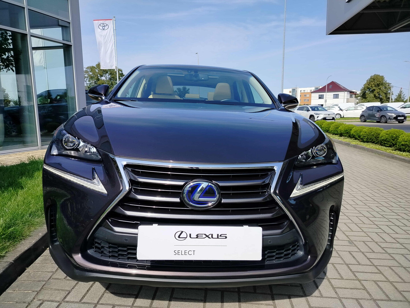 Lexus NX