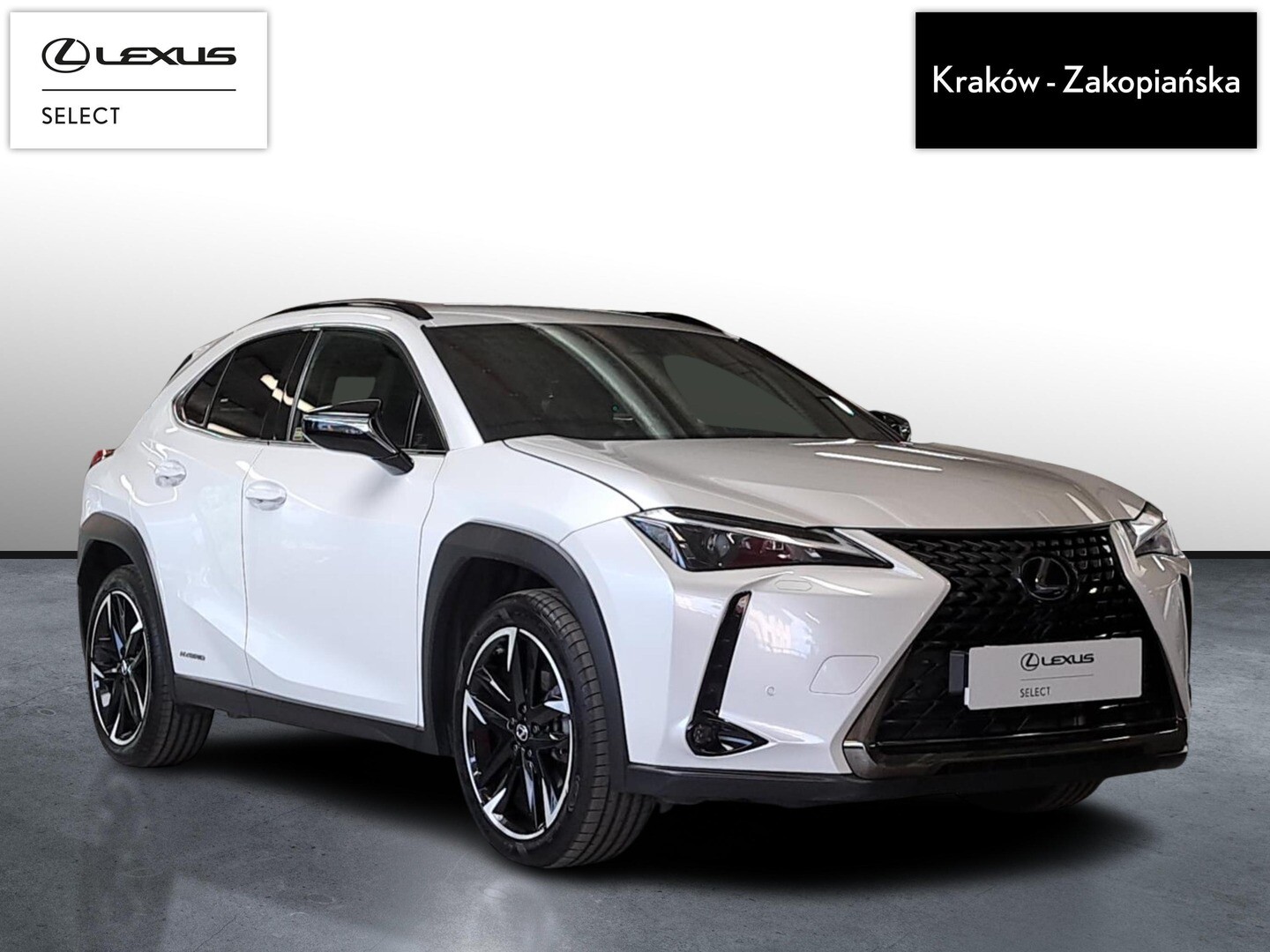 Lexus UX