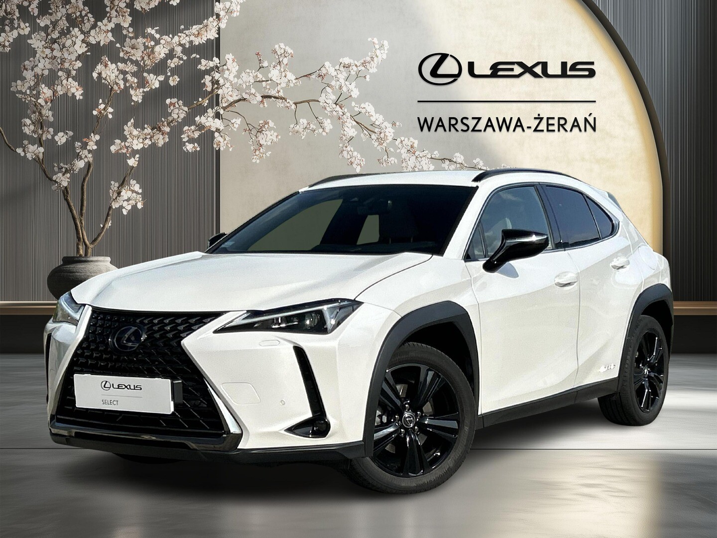Lexus UX