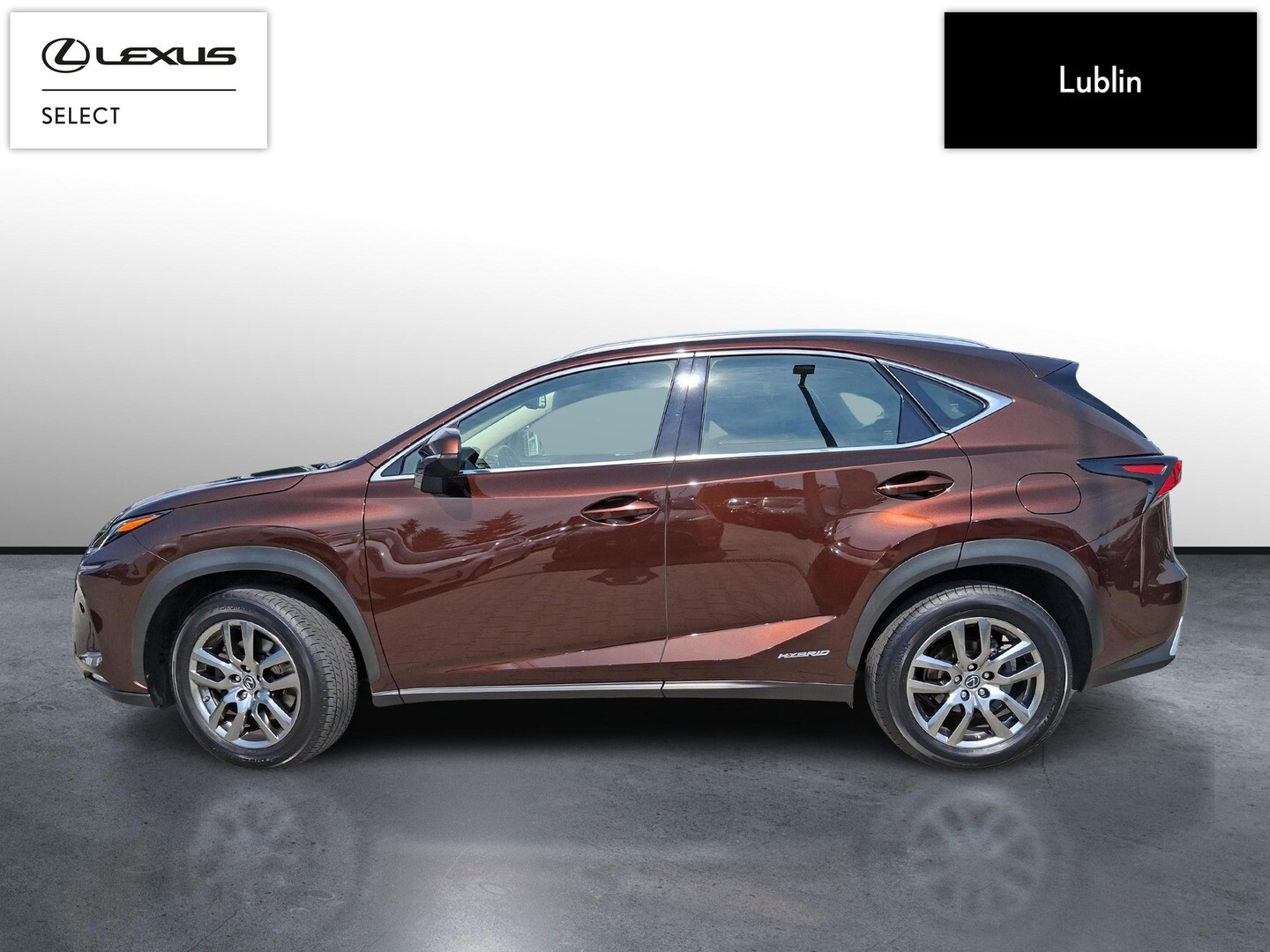 Lexus NX