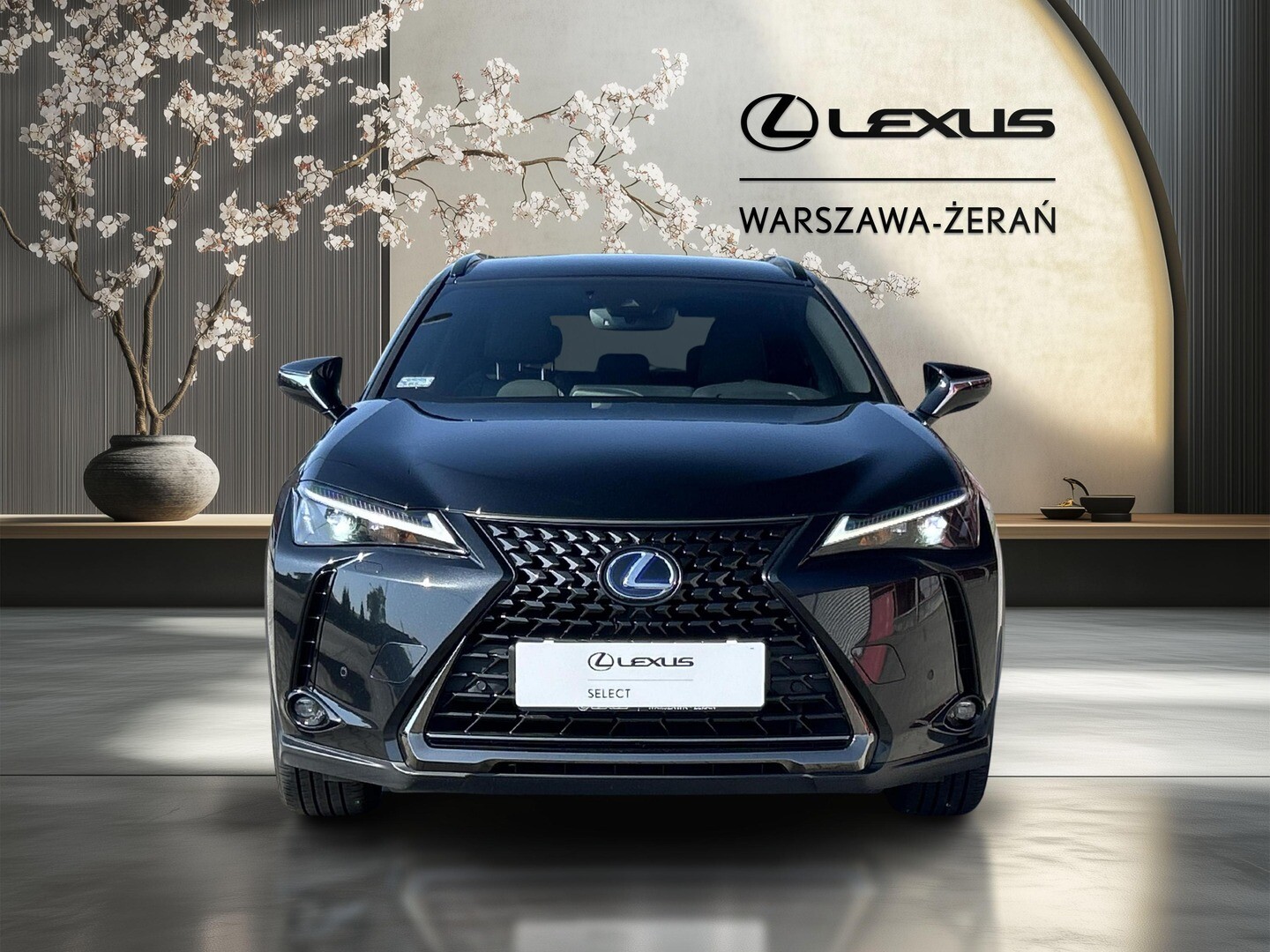 Lexus UX