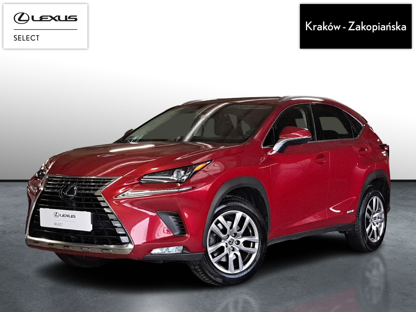 Lexus NX