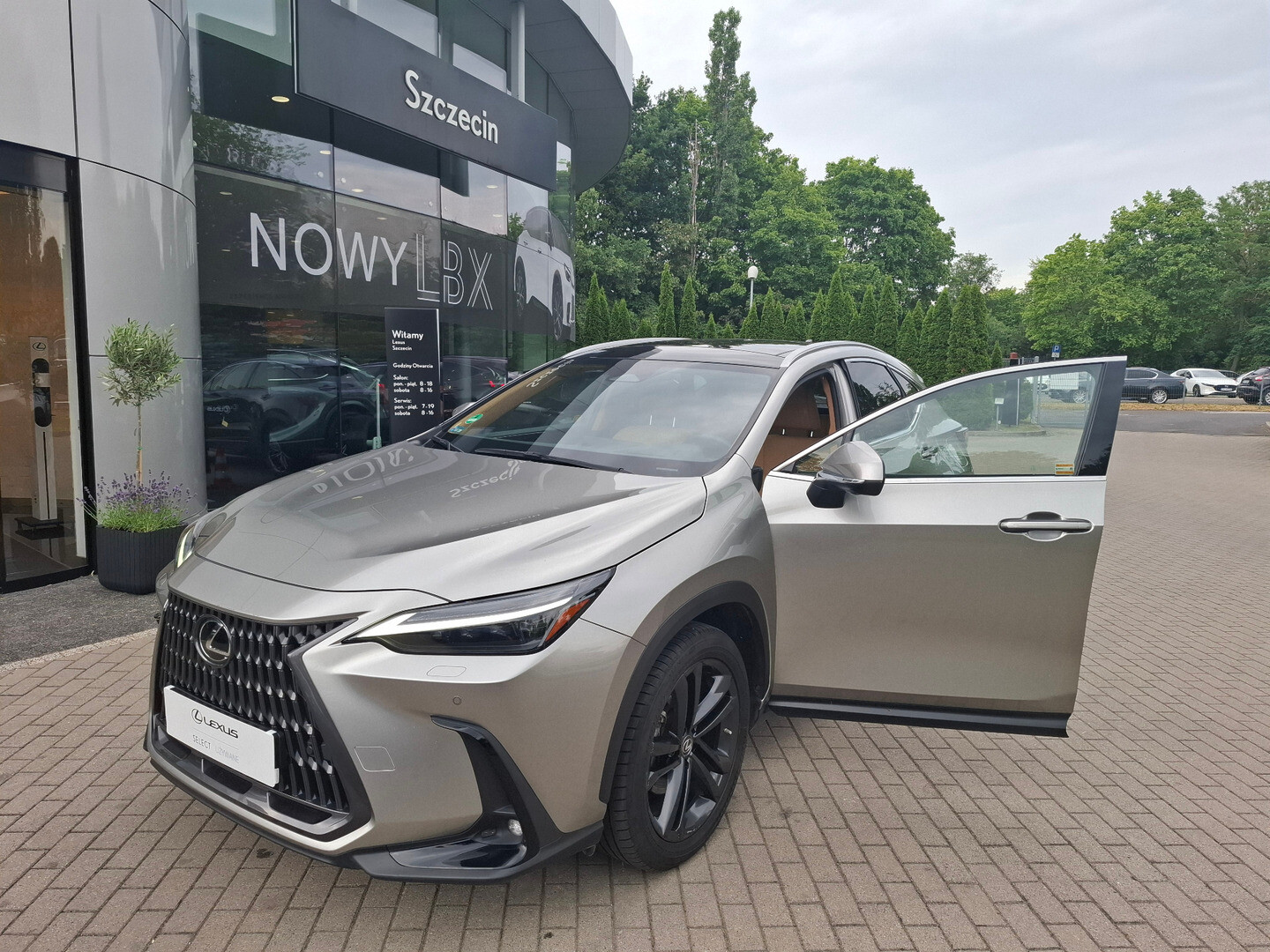 Lexus NX