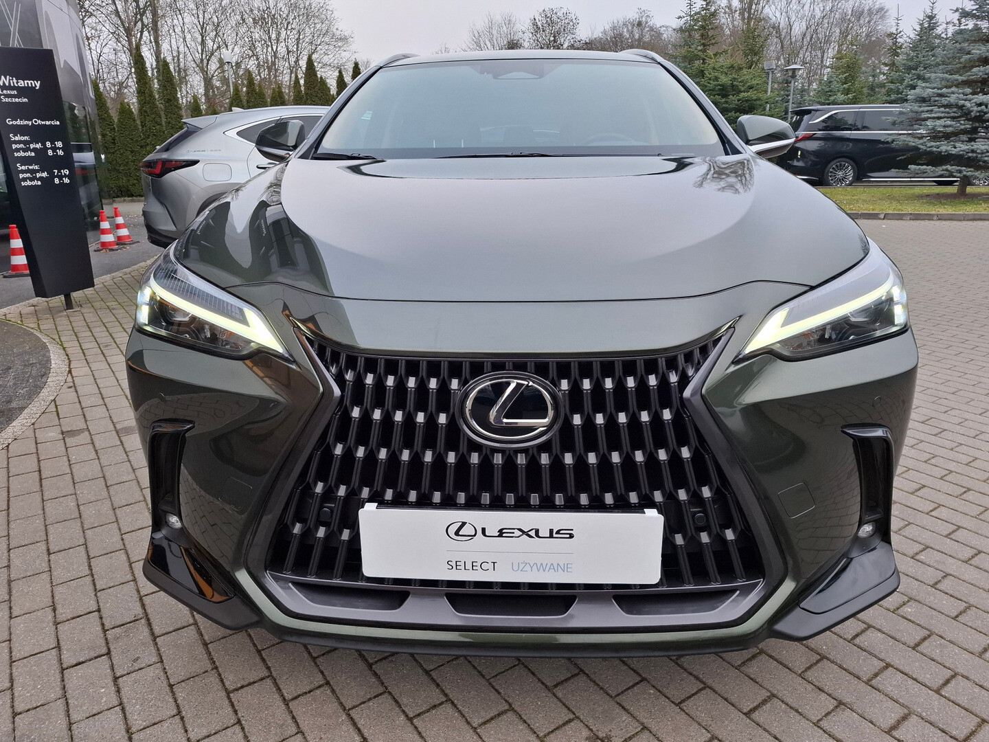Lexus NX