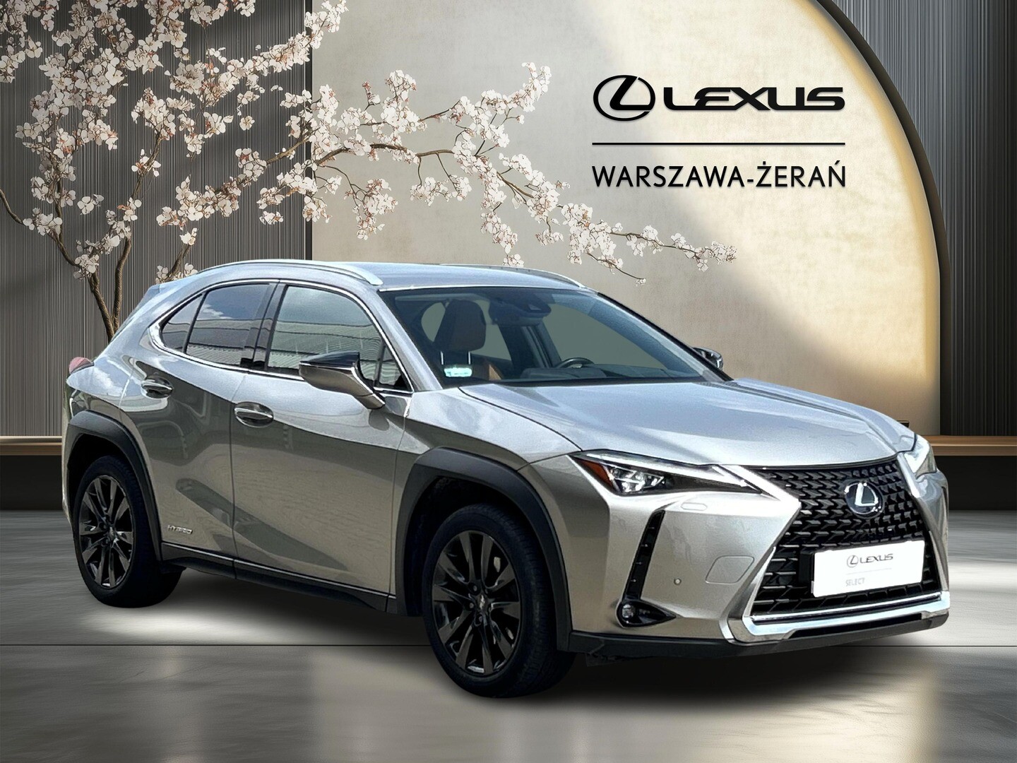 Lexus UX