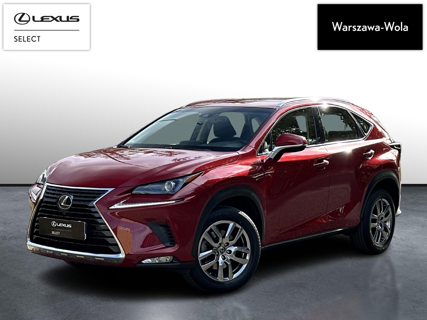 Lexus NX