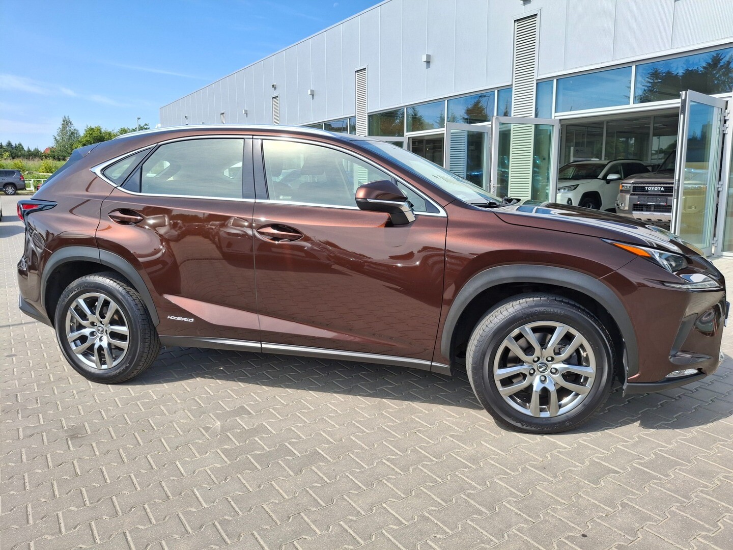 Lexus NX