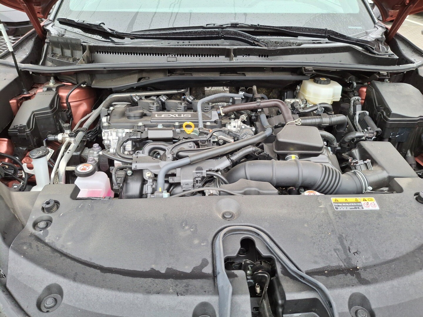 Lexus LBX