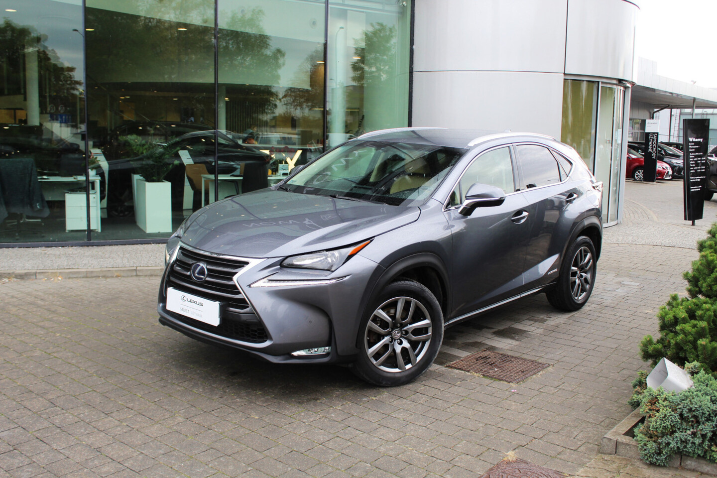 Lexus NX