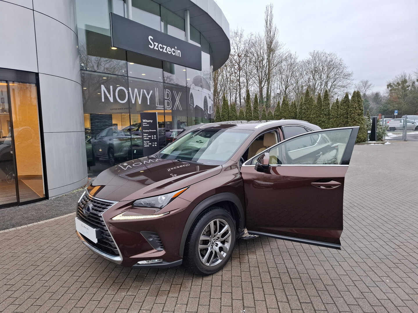 Lexus NX