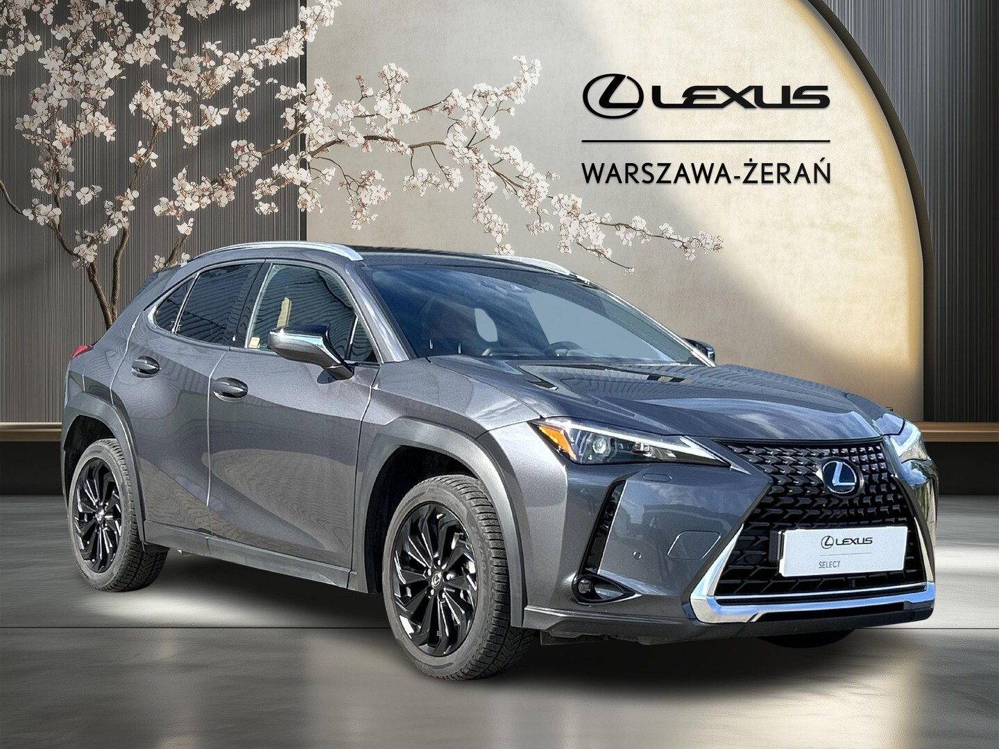 Lexus UX