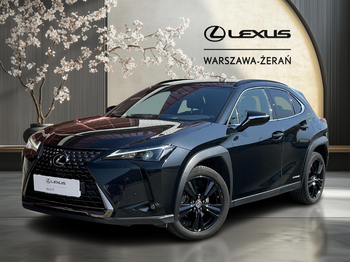 Lexus UX