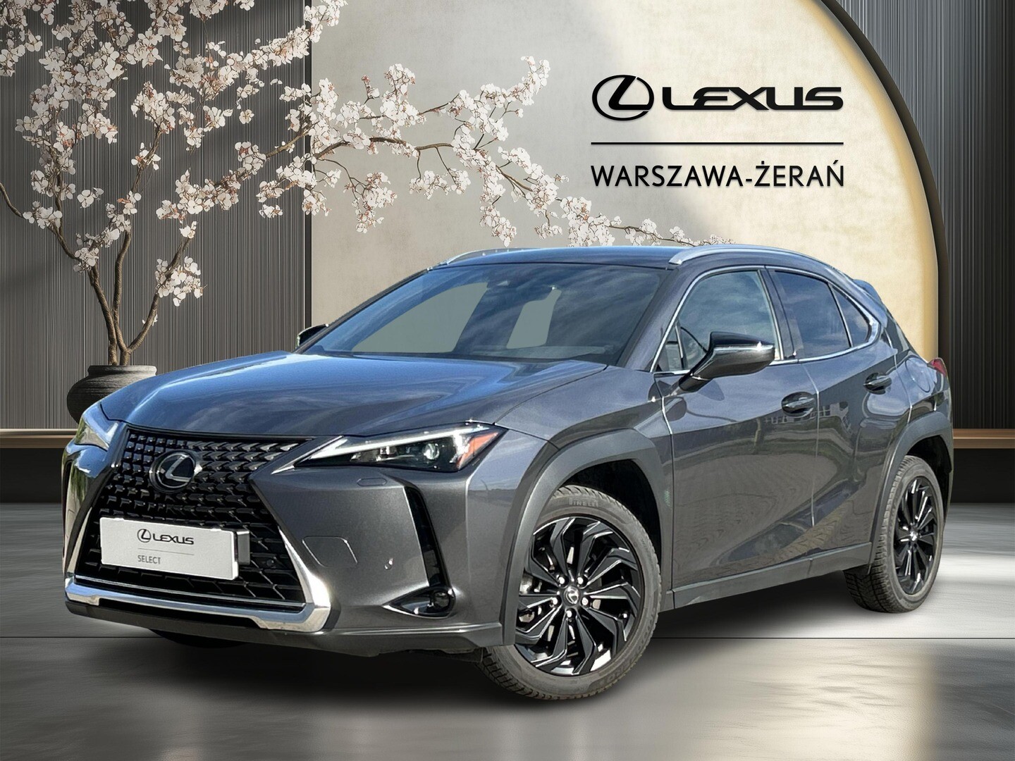 Lexus UX