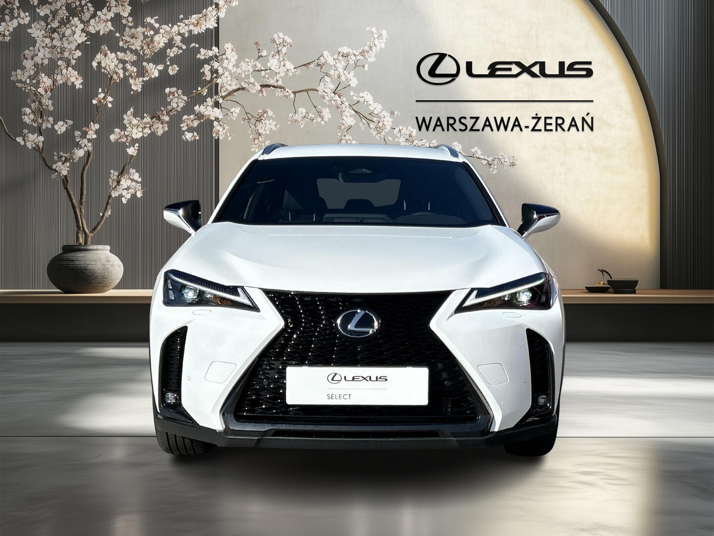 Lexus UX