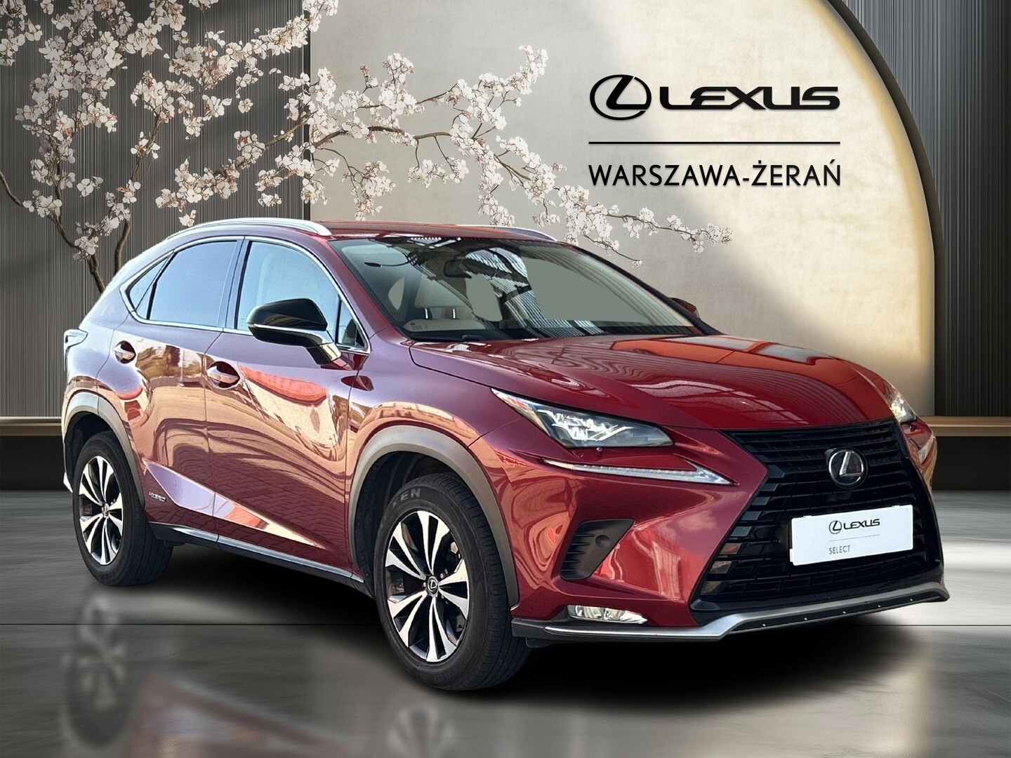 Lexus NX