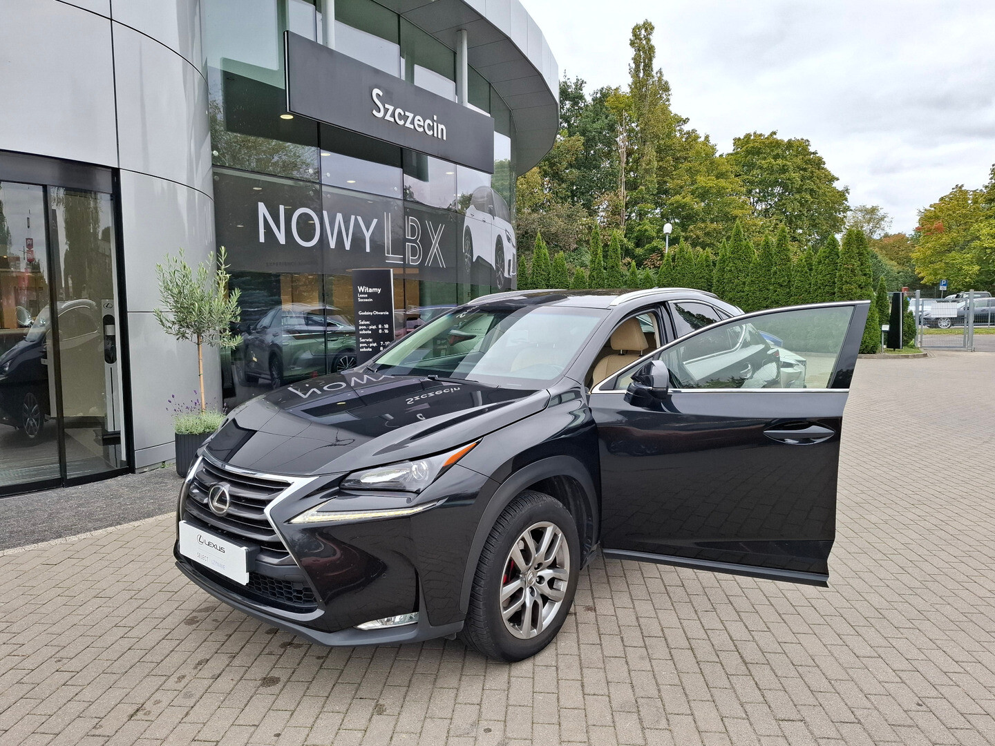 Lexus NX