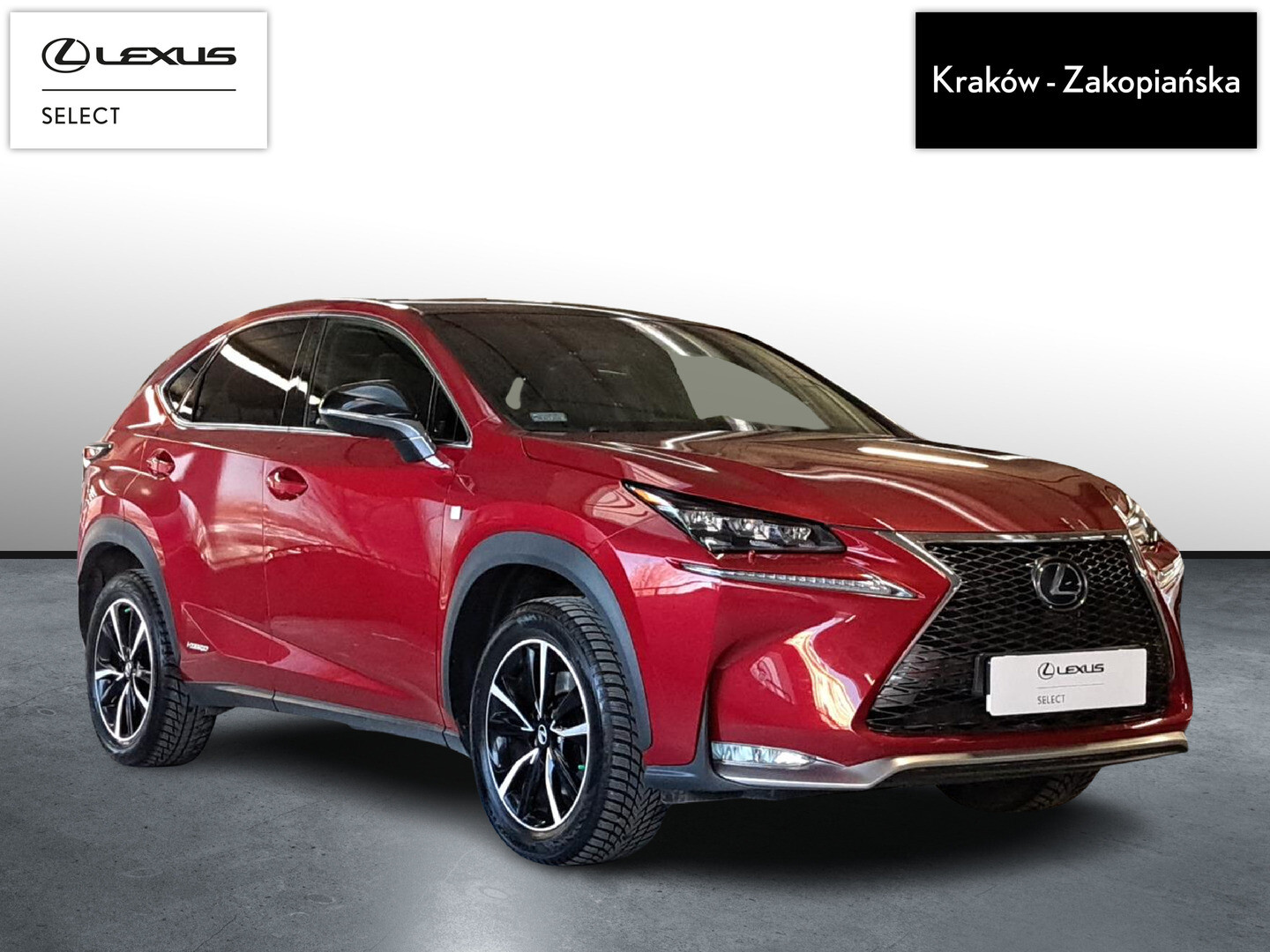 Lexus NX