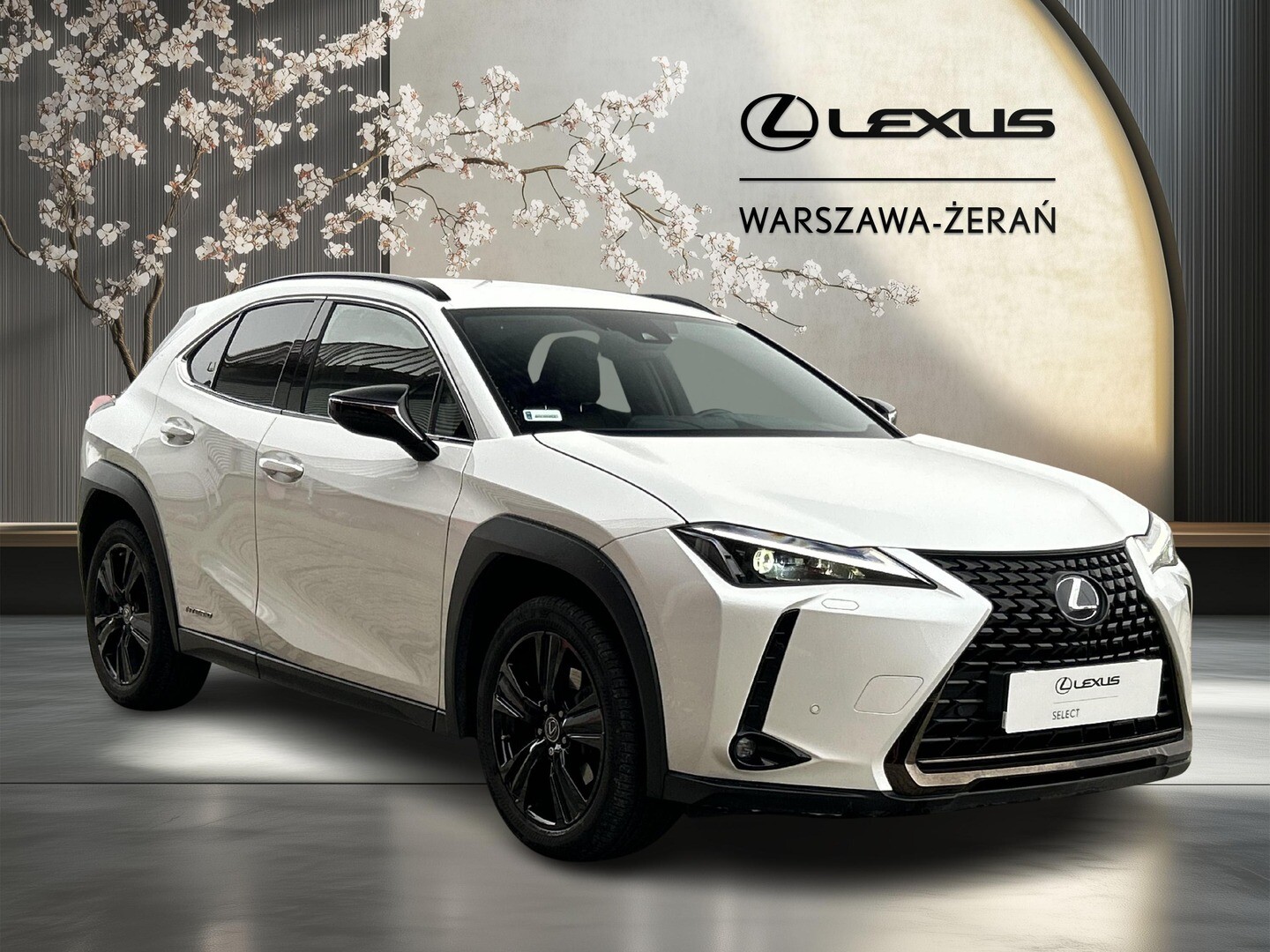 Lexus UX