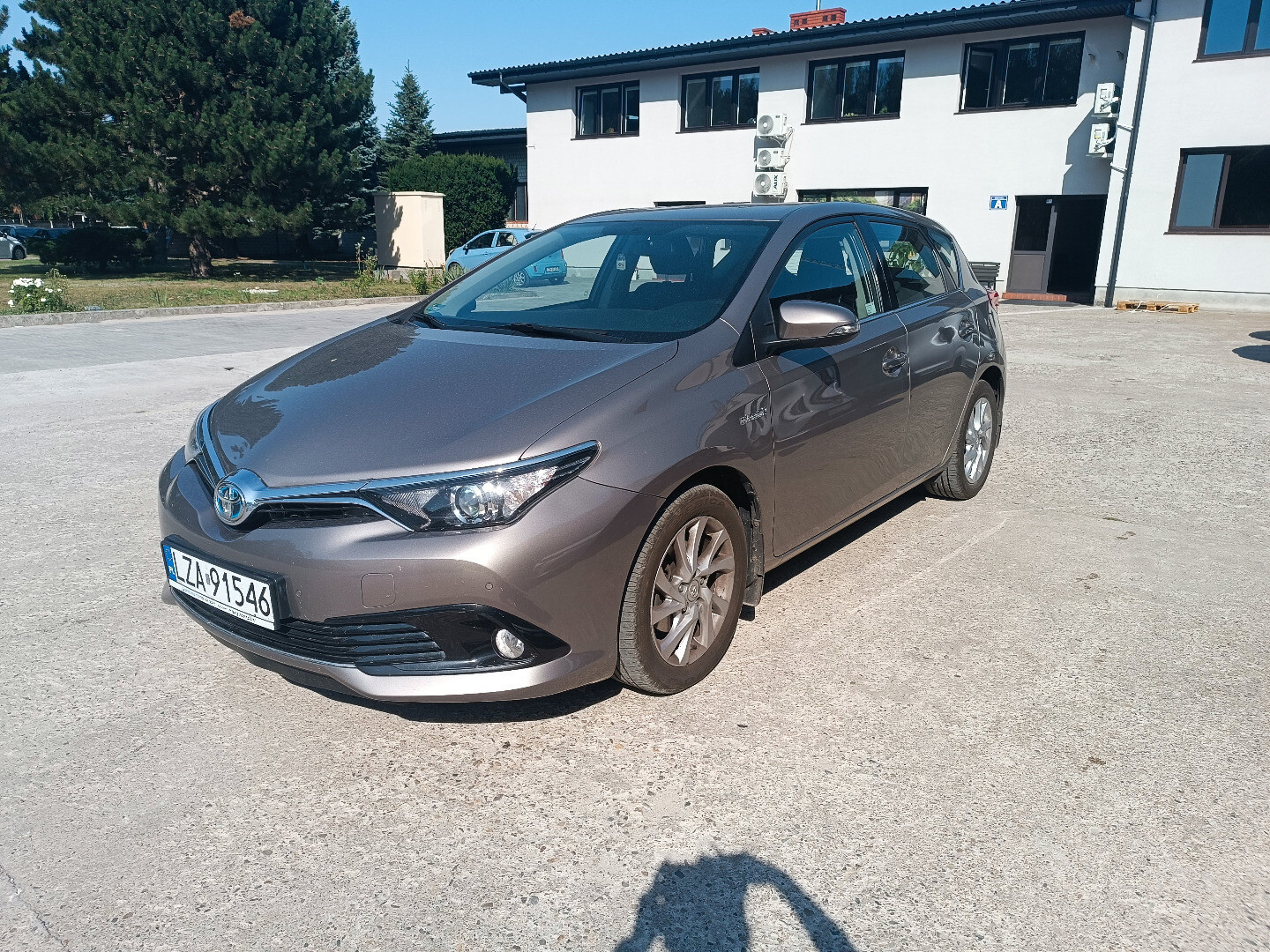 Toyota Auris