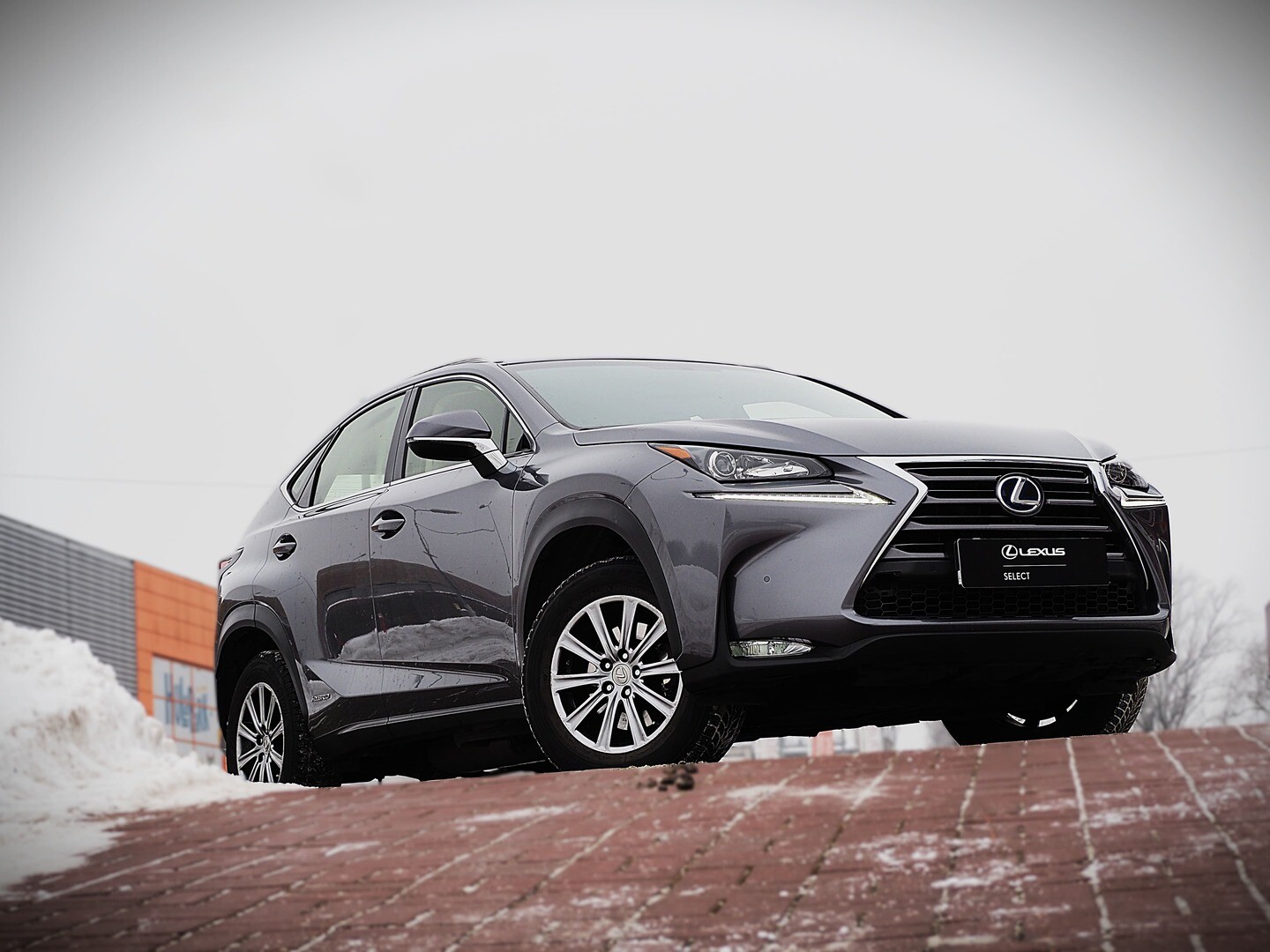 Lexus NX