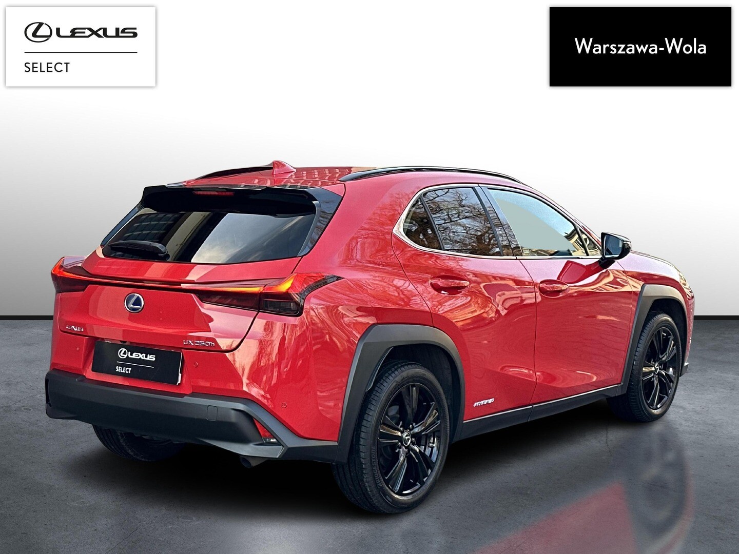 Lexus UX
