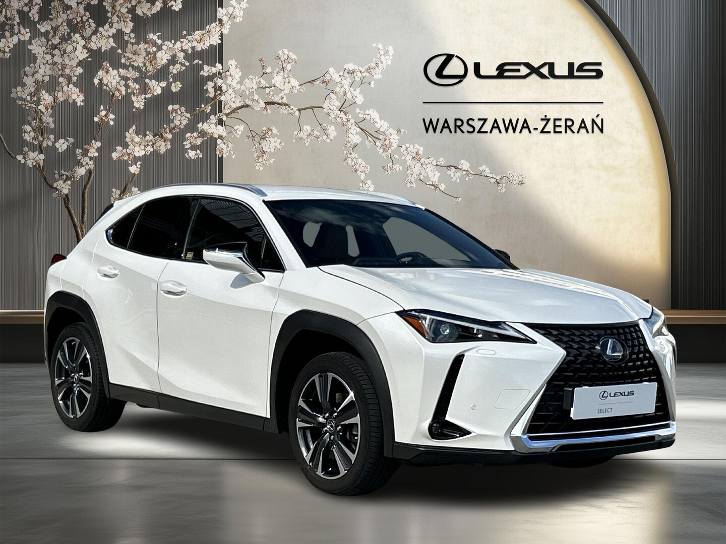 Lexus UX