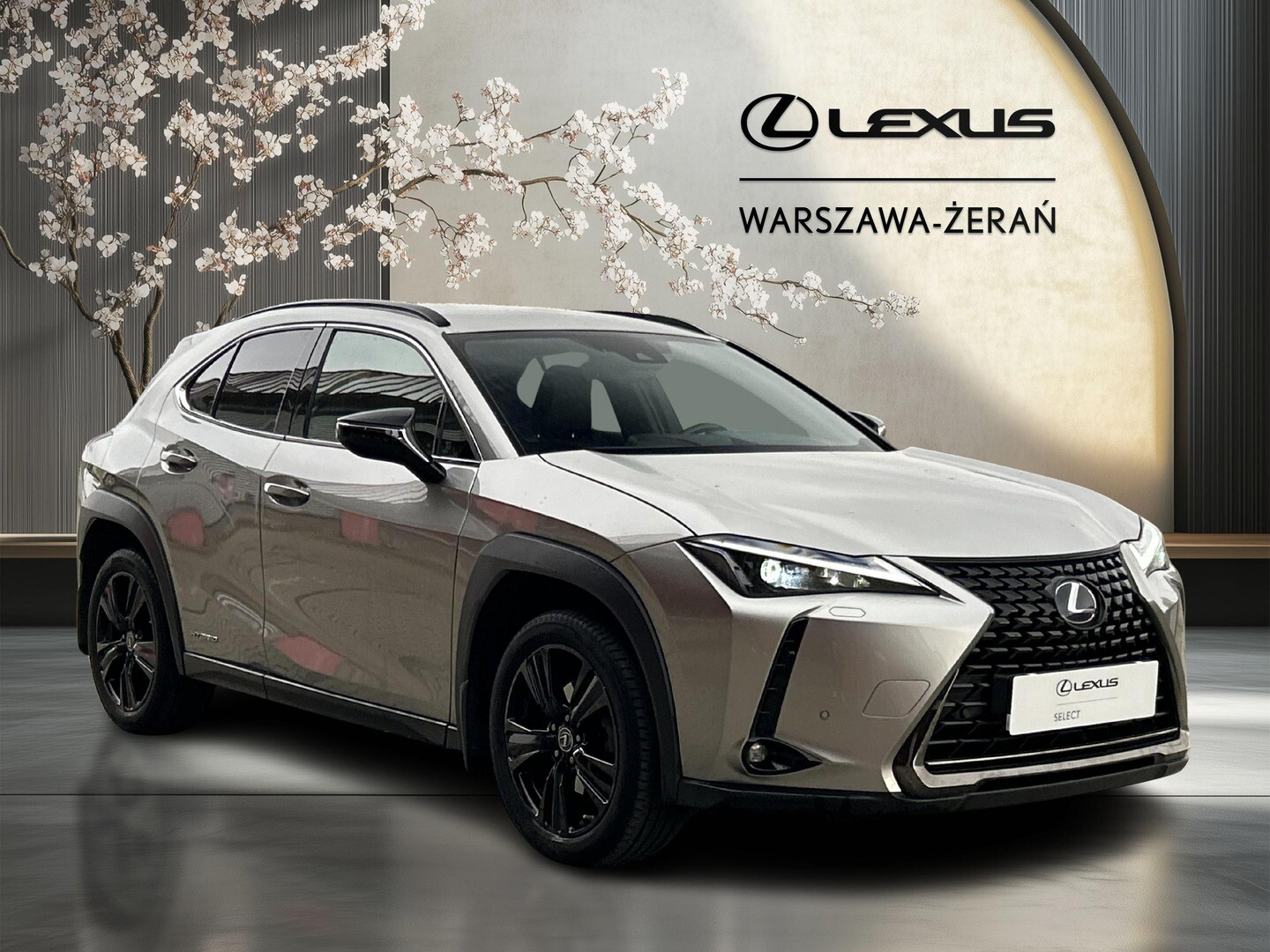 Lexus UX