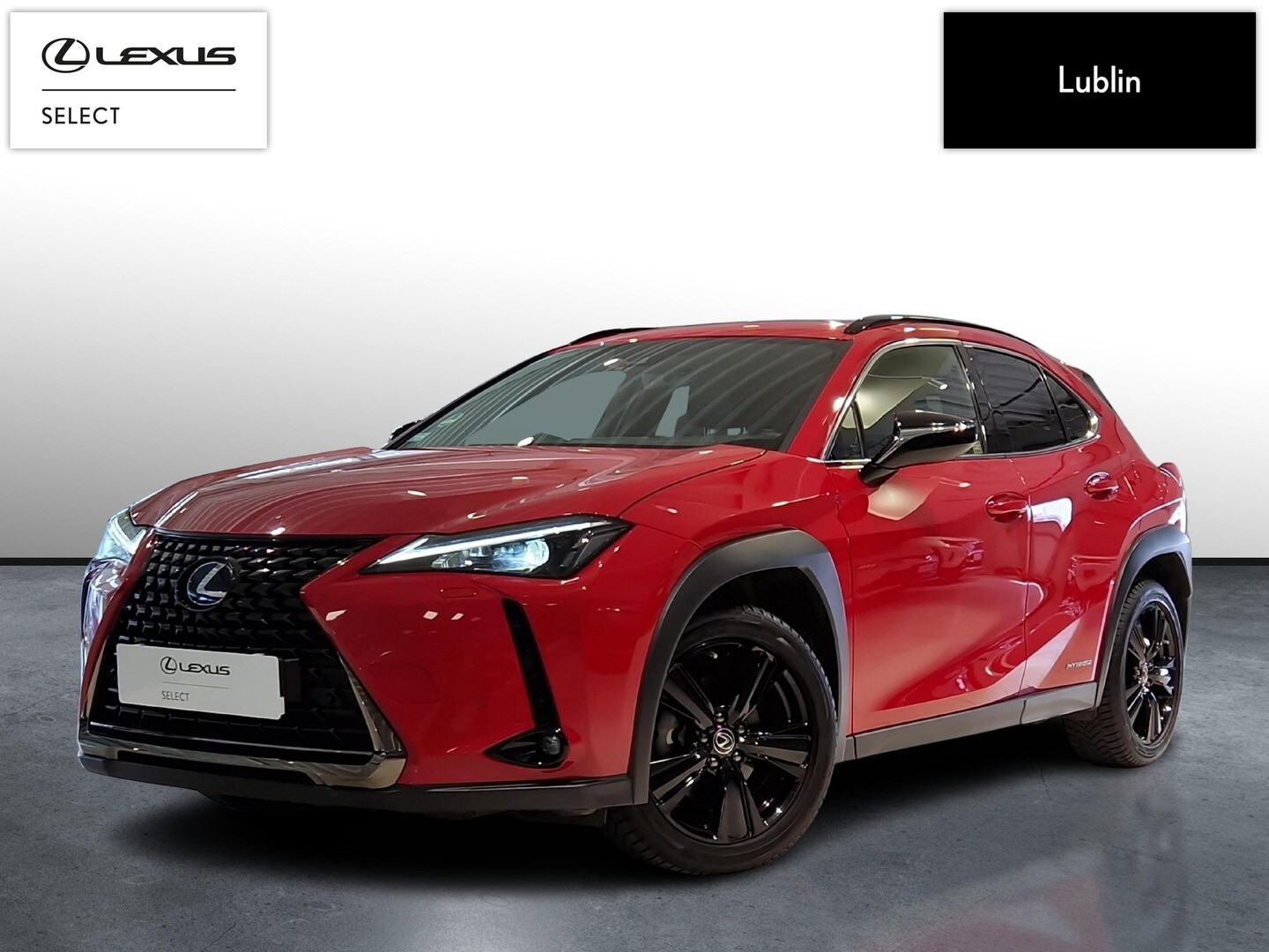 Lexus UX
