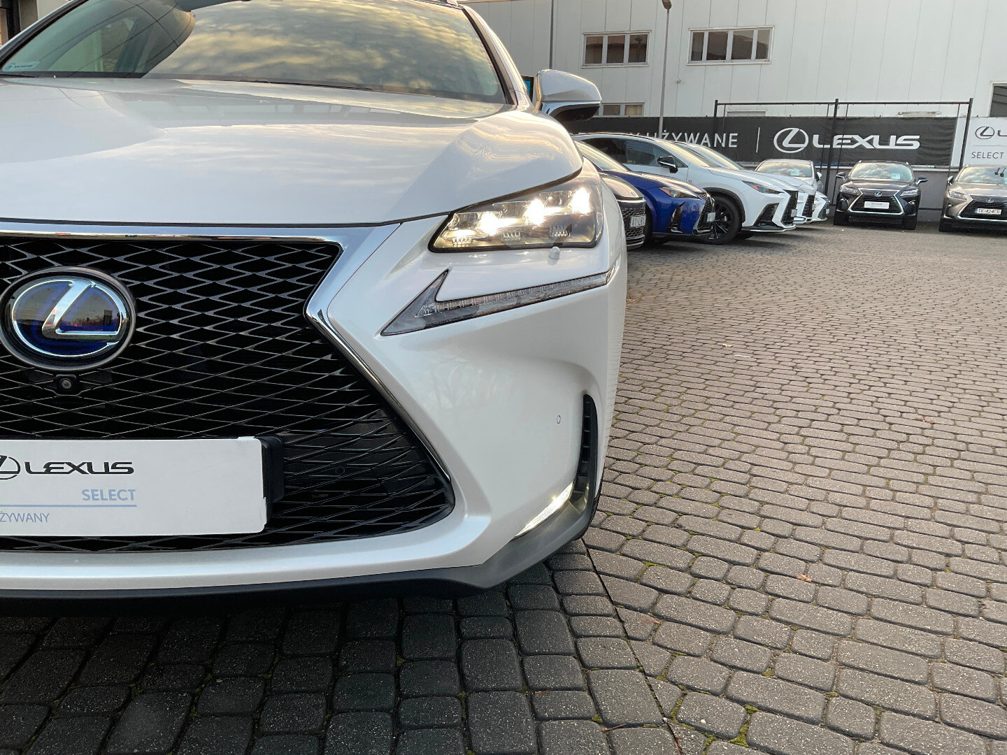 Lexus NX