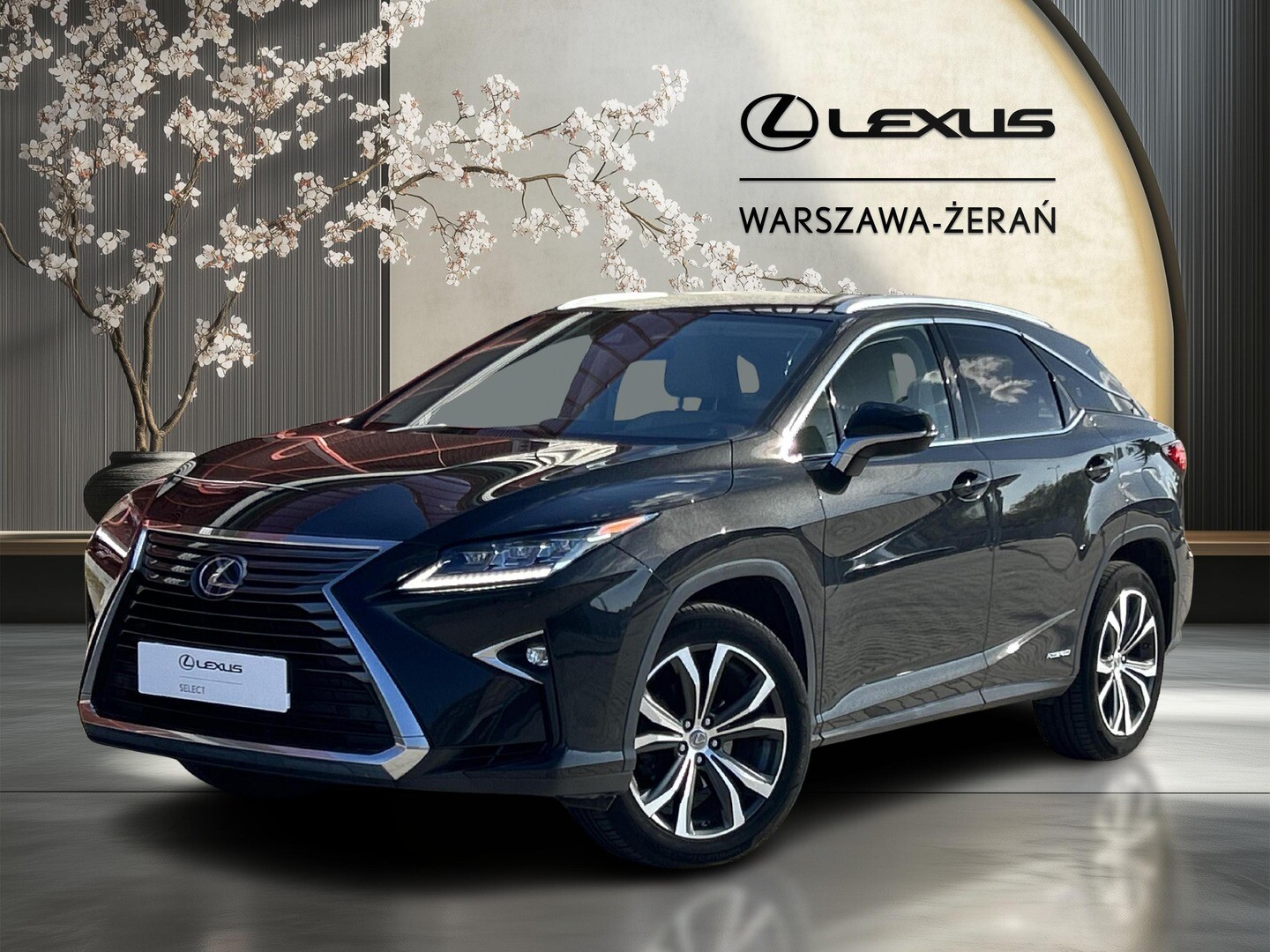 Lexus RX