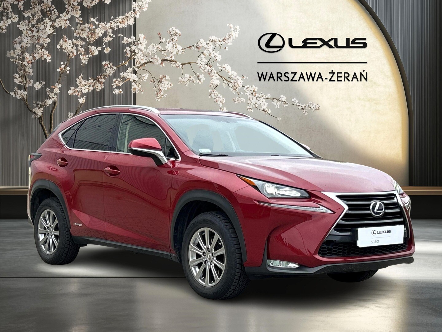 Lexus NX